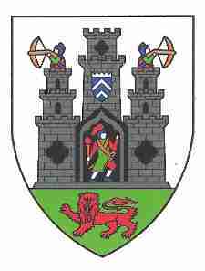 Kilkenny City Crest