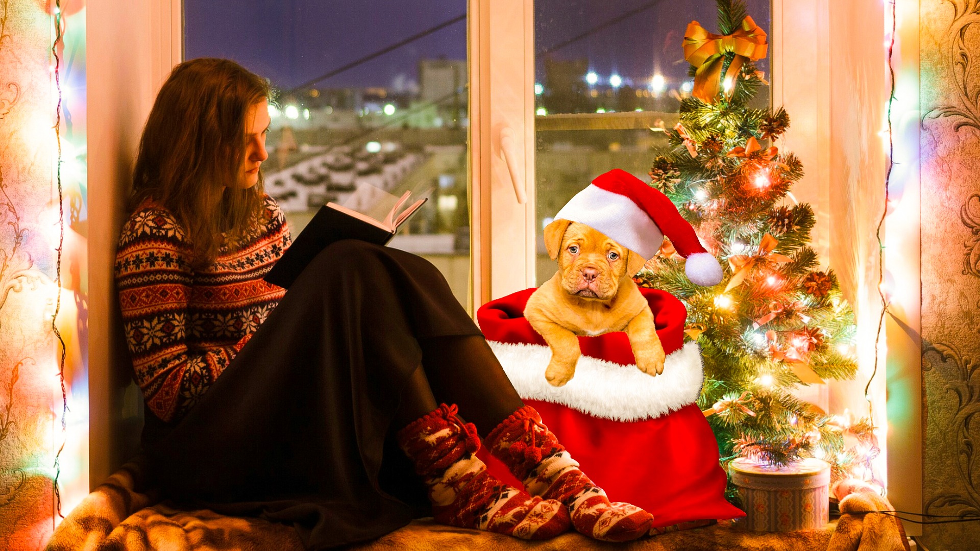 christmas-reading null