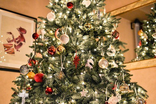 christmas-tree-1081981__340