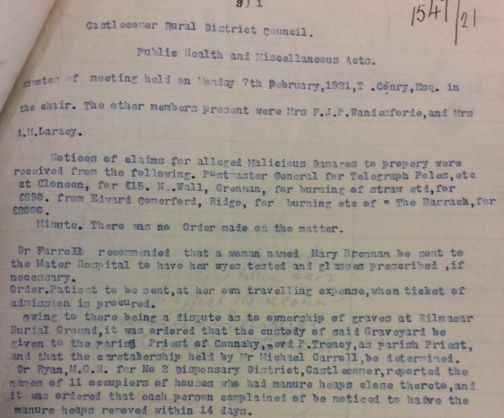 Comhairle Chaisleán an Chomair-1921---Cruinniú Sláinte Poiblí