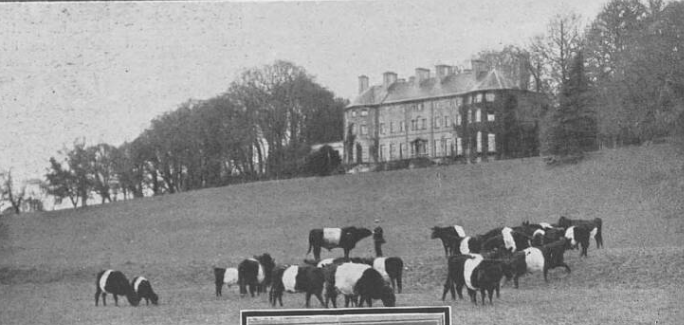 The-home-of-Major-McCalmont---now-Mount-juliet-hotel The-home-of-Major-McCalmont---now-Mount-juliet-hotel